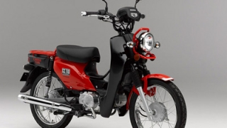 cc110red